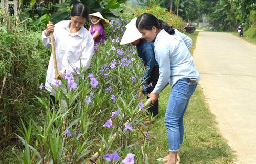 Tại các thôn của xã Bảo Ái, người dân tự giác tham gia chăm sóc các tuyến đường hoa tự quản.