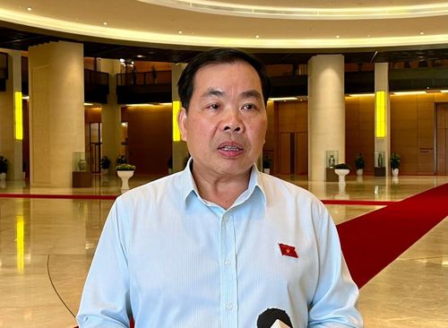 Đại biểu Quốc hội Nguyễn Quang Huân (TPHCM)