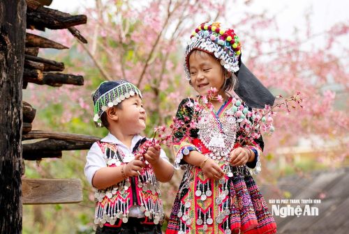 Mùa hoa đào rừng. Ảnh: Quang Dũng