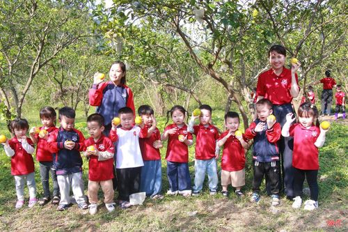 Các em học sinh được tự tay lựa chọn cam...