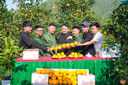 Thời điểm này, vùng trồng cam tại xã Đồng Lộc bước vào mùa chín rộ. Những vườn cam vàng óng, trĩu quả đang trở thành điểm “check-in” hấp dẫn, thu hút đông đảo du khách đến tham quan, trải nghiệm.