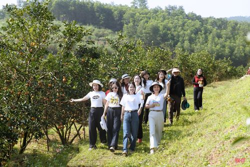 Hoạt động tham quan trải nghiệm vườn đồi, check in, tìm hiểu quy trình sản xuất cam sạch của người nông dân là một trong những định hướng để xây dựng điểm đến du lịch sinh thái trải nghiệm của xã Kim Hoa trong thời gian tới.
