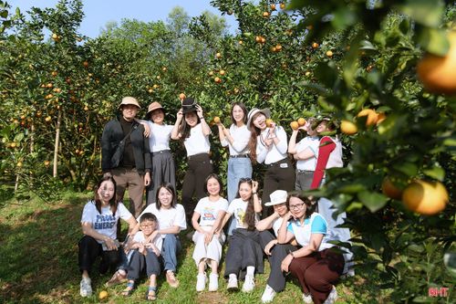 Các vườn cam chanh, cam bù của xã Kim Hoa rực vàng cũng được nhiều du khách lựa chọn trở thành điểm đến vui chơi, chụp ảnh lưu niệm.