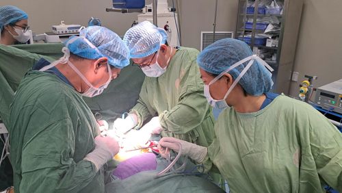 Ngành y tế thành phố tập trung phát triển các chuyên khoa mũi nhọn. Ảnh: L.H