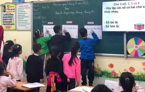  Đẩy mạnh tư vấn chuyên môn, dự giờ trực tuyến bậc Tiểu học. 