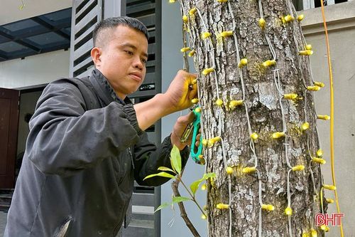  Cận tết là thời điểm "ăn nên làm ra" của các nhóm thợ lắp đặt đèn trang trí. 