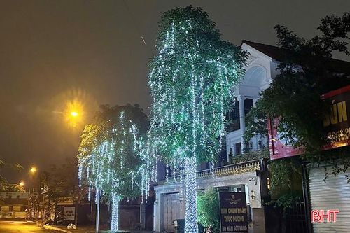  Những ngôi nhà được trang hoàng rực rỡ, tràn ngập không khí tết. 