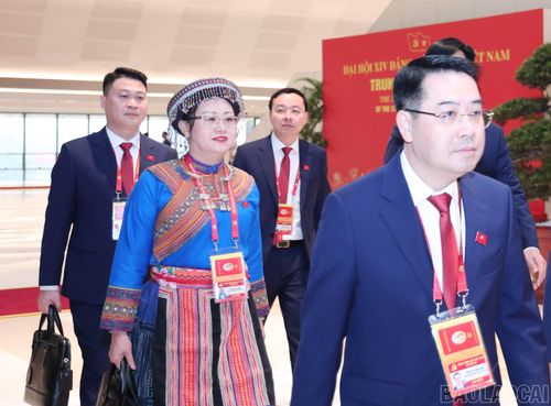  Đoàn đại biểu Đảng bộ tỉnh Lào Cai tham dự Đại hội. 