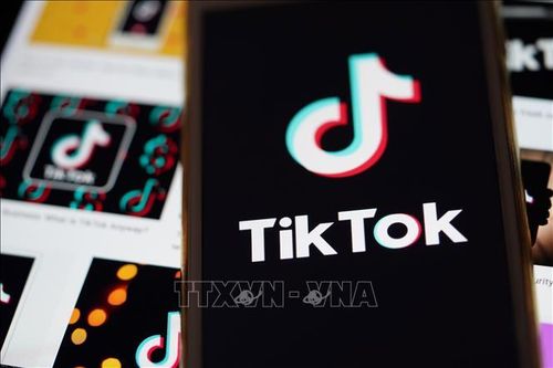 Biểu tượng TikTok trên màn hình điện thoại di động ở Arlington, Virginia, Mỹ. Ảnh: THX/TTXVN