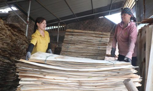  Xã Đồng Kỳ quan tâm phát triển các mô hình kinh tế gắn với thế mạnh địa phương, nâng thu nhập cho người dân. 