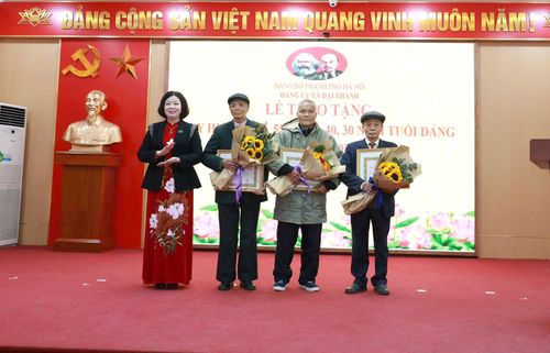 Phó Bí thư Thường trực Đảng ủy xã Đại Thanh Trần Thị Vân trao Huy hiệu Đảng tặng các đảng viên. Ảnh: Mai Duyên