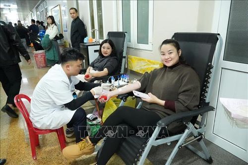 Các cán bộ, nhân viên ngành Y tế Ninh Bình tham gia hiến máu tình nguyện.