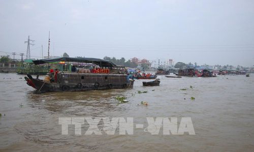 Một góc chợ nổi Cái Răng. Ảnh: Nguyễn Hằng - TTXVN