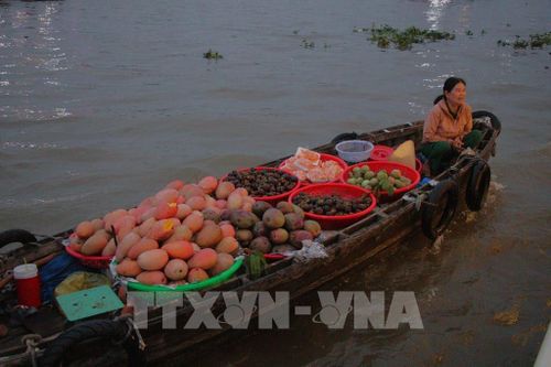 Nông sản được người dân chở ra chợ nổi bán vào rạng sáng. Ảnh: Nguyễn Hằng - TTXVN
