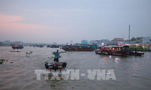 Nhộn nhịp hoạt động giao thương trên chợ nổi. Ảnh: Nguyễn Hằng - TTXVN