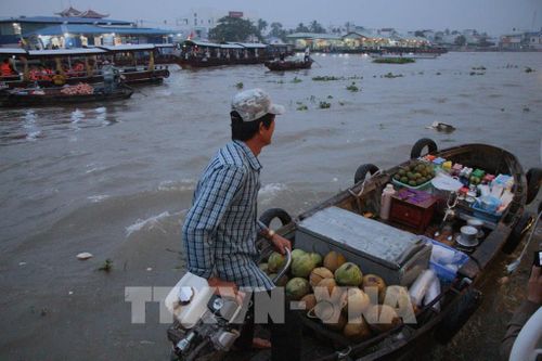 Nhộn nhịp hoạt động giao thương trên chợ nổi Cái Răng. Ảnh: Nguyễn Hằng - TTXVN