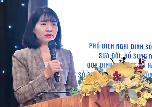 Bà Đinh Thị Thu Thủy, Phó Vụ trưởng Vụ Pháp chế (Bộ Y tế) phát biểu khai mạc hội nghị. Ảnh: Diễm Phúc