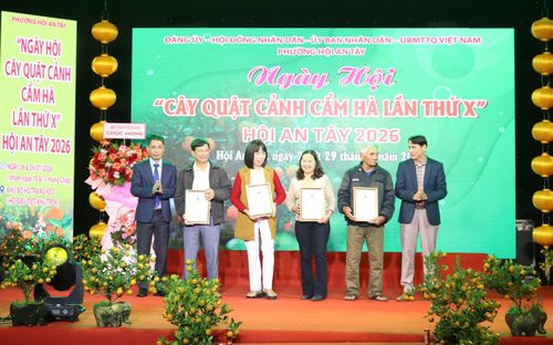 Ban tổ chức trao chứng nhận, tôn vinh người trồng quật cảnh. Ảnh: HOÀNG LIÊN