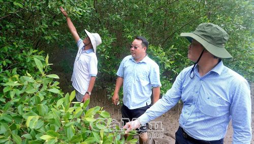 Ðoàn kiểm tra của tỉnh thường xuyên thăm rừng nhằm thúc đẩy tinh thần bám rừng, giữ rừng của người dân và cán bộ địa phương.