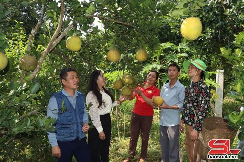Cán bộ xã Gia Phù trao đổi với nhân dân về phát triển cây ăn quả.