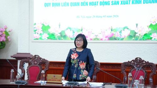  Thứ trưởng Tư pháp Đặng Hoàng Oanh. (Ảnh: TL) 