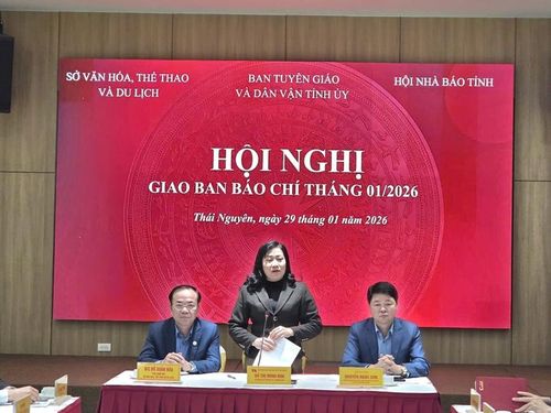 Đồng chí Đỗ Thị Minh Hoa, Ủy viên Ban Thường vụ, Trưởng ban Tuyên giáo và Dân vận Tỉnh ủy kết luận Hội nghị.
