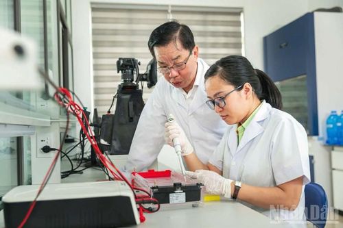 Anh hùng lao động Trần Mạnh Báo, người xây dựng và phát triển thành công Tập đoàn ThaiBinh Seed chuyên sản xuất giống lúa và các giống cây trồng nông nghiệp.