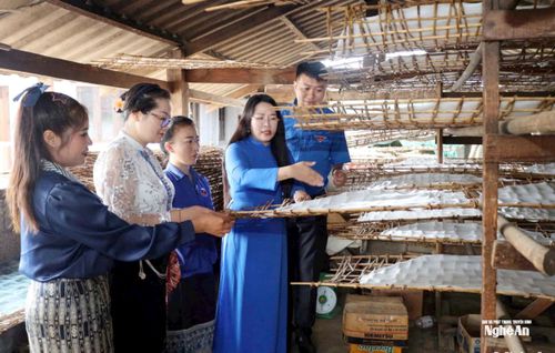 Đoàn công tác của tuổi trẻ Nghệ An thăm các mô hình kinh tế tiêu biểu của tỉnh Xiêng Khoảng. Ảnh tư liệu
