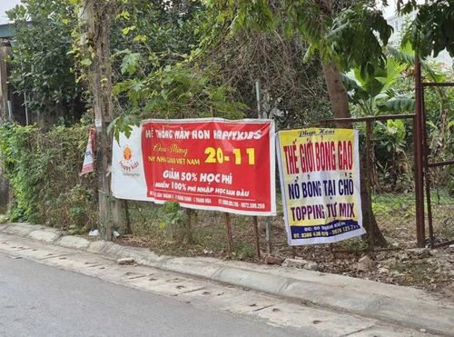 Muôn kiểu quảng cáo được treo trên các tuyến phố.