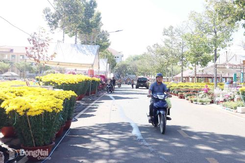 Hai bên đường Dương Bá Trạc (tiếp giáp Quảng trường Bình Phước) được các tổ chức, cá nhân, doanh nghiệp tập kết các loại hoa khiến không khí trở nên ngập tràn sắc xuân. Ảnh: Quang Minh