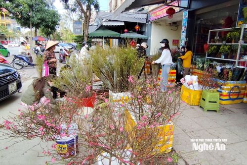 Một tiệm hoa tươi ở chợ Đội Cung, phường Thành Vinh đông người mua sắm sáng 23 tháng Chạp. Ảnh: T.P