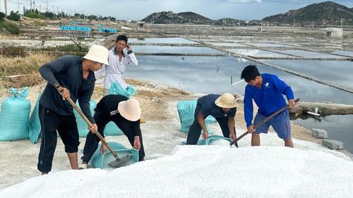 Với thu nhập bình quân 320.000 đồng/người/ngày, nhiều lao động tại địa phương có điều kiện để trang trải sinh hoạt gia đình trong những ngày vui đón Tết Nguyên đán Bính Ngọ 2026.