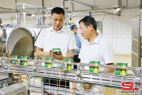 Đồng chí Phó Chủ tịch UBND tỉnh thăm dây chuyền chế biến của DOVECO Sơn La.