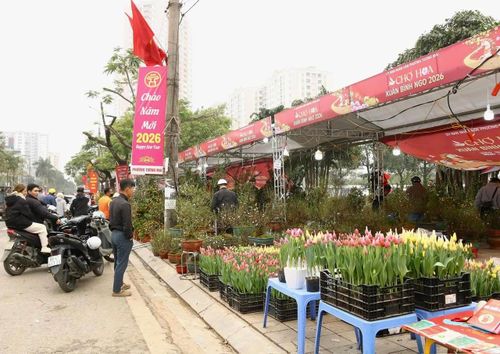 Chợ hoa Xuân Bính Ngọ 2026 được tổ chức từ ngày 2/2 đến 12 giờ ngày 16/2 đang thu hút đông đảo người dân Tương Mai và các khu vực lân cận tới mua sắm đào, quất, hoa … cho dịp Tết đang cận kề