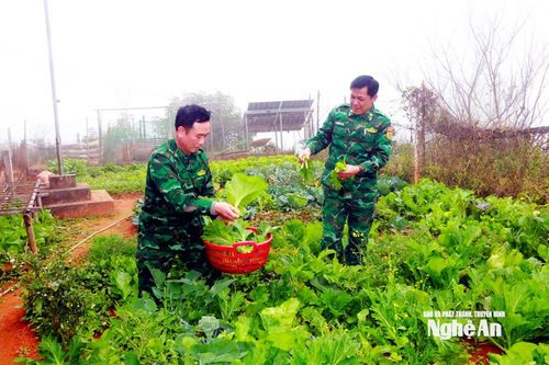 Têt ở tổ chốt biên phòng Huồi Mới đủ đầy lương thực, thực phẩm tự tăng gia. Ảnh: K.L
