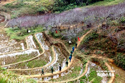 Đồn Biên phòng Tri Lễ tuần tra bảo vệ an ninh biên giới. Ảnh: K.L