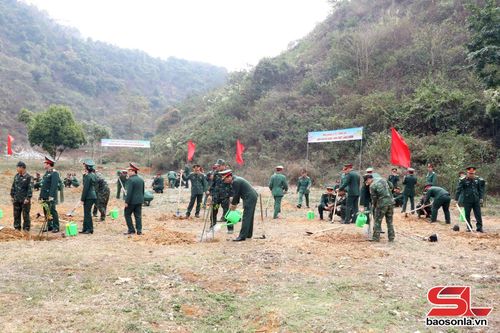 Cán bộ, chiến sĩ Bộ CHQS tỉnh tham gia trồng cây.