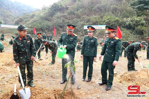 Lãnh đạo Bộ CHQS tỉnh tham gia trồng cây.