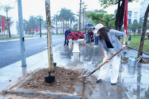 Đại diện các trường học, thôn, tổ dân phố trên địa bàn xã Đan Phượng tham gia trồng cây. Ảnh: Thiên Tú