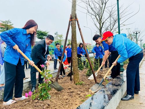Năm 2026, toàn xã phấn đấu trồng mới 3.000 cây xanh tại các tuyến đường, trường học, sân vận động và khu dân cư. Ảnh: Phương Xuyến