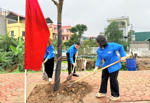 Các đại biểu tham gia trồng cây tại buổi lễ phát động. Ảnh: Sơn Nguyễn