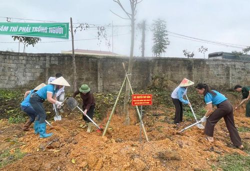  Cán bộ, Nhân dân xã Vô Tranh hưởng ứng Tết trồng cây. 