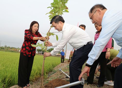 Bí thư Thành ủy Cần Thơ Lê Quang Tùng cùng lãnh đạo thành phố phát động "Tết trồng cây đời đời nhớ ơn Bác Hồ"
