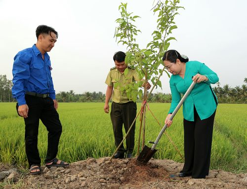 Lãnh đạo TP. Cần Thơ đề nghị các sở, ngành, lãnh đạo địa phương tiếp tục tuyên truyền sâu rộng về ý nghĩa của việc trồng cây