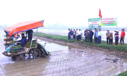  Trình diễn mô hình "Cánh đồng không dấu chân". 