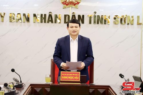 Đồng chí Đặng Ngọc Hậu, Phó Chủ tịch UBND tỉnh phát biểu tại cuộc làm việc.