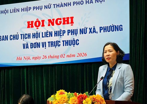Chủ tịch Hội Liên hiệp phụ nữ thành phố Hà Nội Lê Kim Anh phát biểu. Ảnh: Bảo Lâm