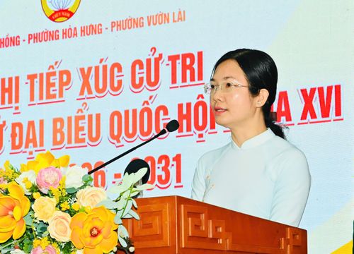 Bà Vương Thanh Liễu, Chủ tịch UBND phường Bình Tiên trình bày chương trình hành động. Ảnh: VIỆT DŨNG 