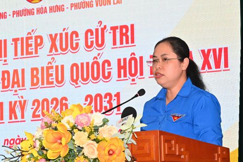  Bà Trịnh Thị Huyền Trân, Phó Bí thư Thành đoàn, Chủ tịch Hội đồng Đội TPHCM trình bày chương trình hành động. Ảnh: VIỆT DŨNG 