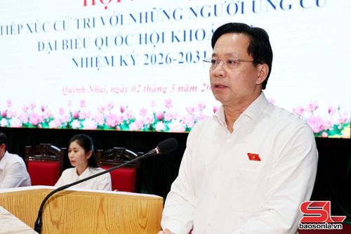 Đồng chí Hoàng Văn Nghiệm, Ủy viên Ban Chấp hành Trung ương Đảng, Bí thư Tỉnh ủy, Trưởng Đoàn đại biểu Quốc hội tỉnh, phát biểu tại hội nghị.